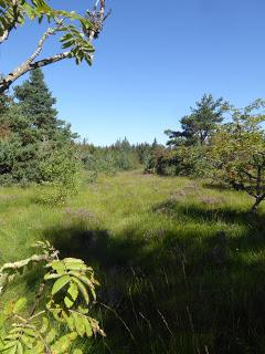 Un peu de tourisme en Pilat rhodanien