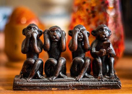 Les singes de la sagesse ne sont plus 3... ‍♀ #singe #monkey #photo #stayAtHome #resteChezToi #resteTonKaz #stayChezTonKaz #Confinement #nikon #d7500 #cellphone #smartphone