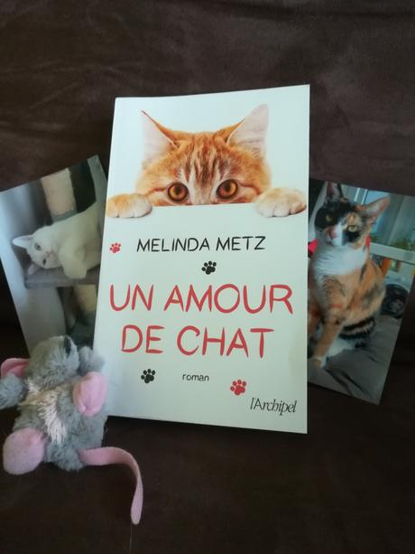 Throwback Thursday Livresque n°69 – Chien ou chat