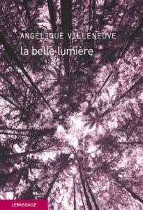 La belle lumière, Angélique Villeneuve… coup de coeur ! Rentrée littéraire 2020 La belle lumière, Angélique Villeneuve… coup de coeur ! Rentrée littéraire 2020