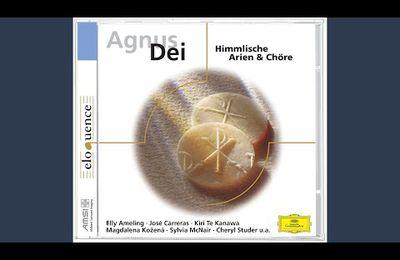 Schafe können sicher 