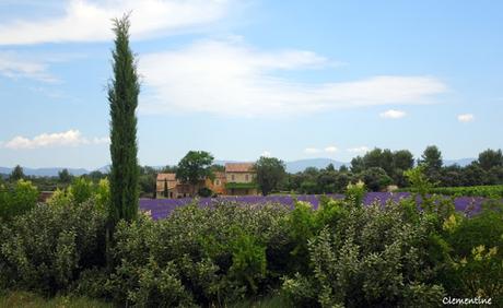 Vacances dans le Vaucluse - De Gordes via Le Pont Julien en direction de Lourmarin