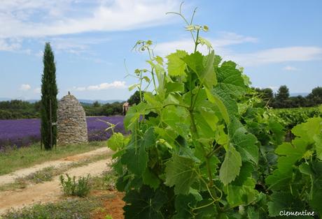 Vacances dans le Vaucluse - De Gordes via Le Pont Julien en direction de Lourmarin