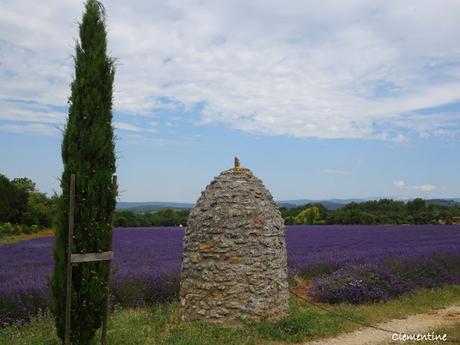 Vacances dans le Vaucluse - De Gordes via Le Pont Julien en direction de Lourmarin