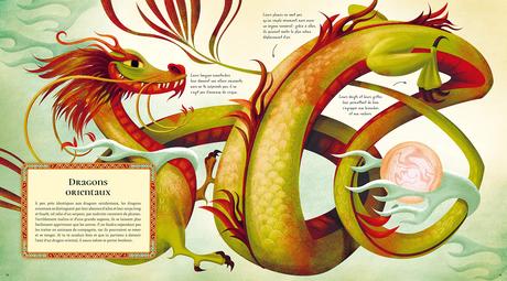 Le grand livre des dragons de Anna Lang et Federica Magrin