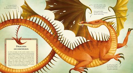 Le grand livre des dragons de Anna Lang et Federica Magrin
