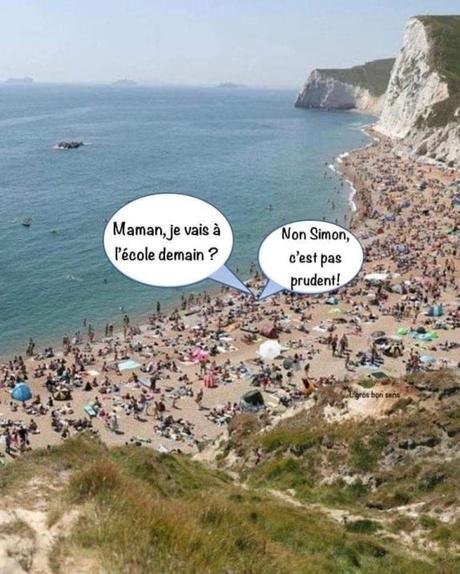 L’arbre qui cache la forêt