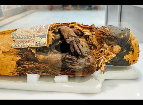 Que vous faut-il pour partir en Égypte ? Que vous faut-il pour partir en Égypte ?