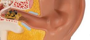 Soudain, j’entends beaucoup mieux !