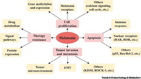 #Cell #cancerdusein #mélatonine Mélatonine : Une Option Thérapeutique pour le Traitement du Cancer du Sein
