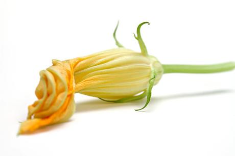 Beignets fleurs de courgettes