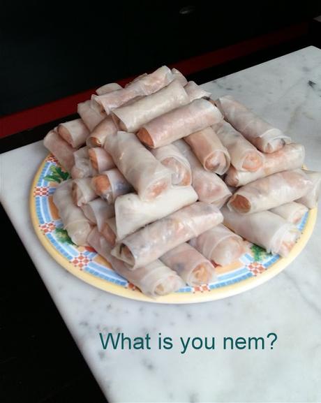 what is your nem