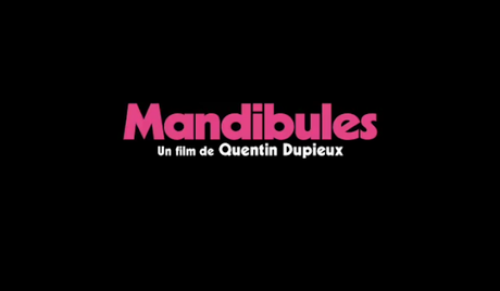 Bande annonce pour Mandibules de Quentin Dupieux
