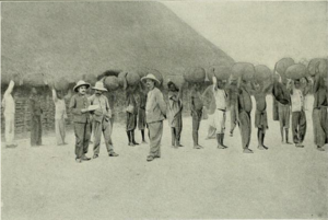 17 Lumières D'Afrique