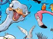 oiseaux bande dessinée