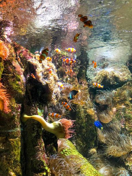 10 choses à faire à La Rochelle avec des enfants