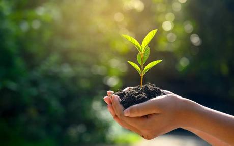 Les cosmétiques bio : un engagement des marques pour le bien-être de tous Les cosmétiques bio : un engagement des marques pour le bien-être de tous