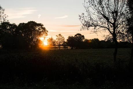 circonspection indirecte