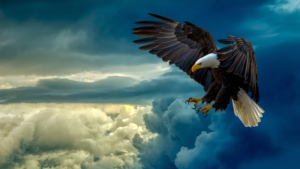 Le monde académique et la guerre économique