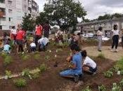 Stains (93) Création d’un jardin permaculture coeur banlieues