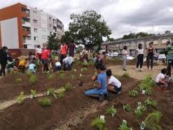 Stains (93) : Création d’un jardin en permaculture au coeur des banlieues