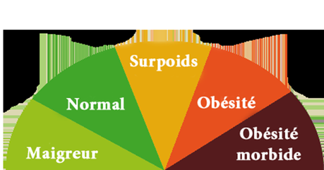 L'Indice de Masse Corporelle se calcule en divisant le poids (en kg) par le carré de la taille (mètre).
