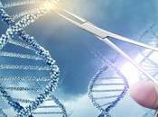 HERPES SIMPLEX thérapie génique élimine virus latent