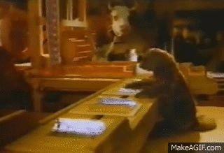 France : une couverture et une fraude sociale légendaire !