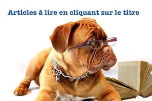 Une propagande démentielle