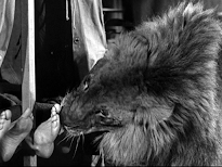 Superhéros en Béquilles