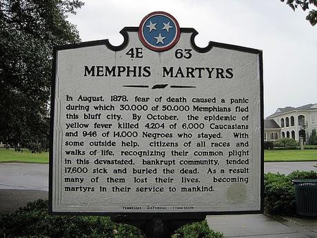 Afficher l’image source