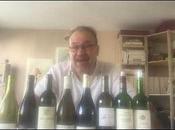 Vins Comparaison Chassagne Montrachet Remilly 2010 Morey Coffinet Buisson Charles autres crus