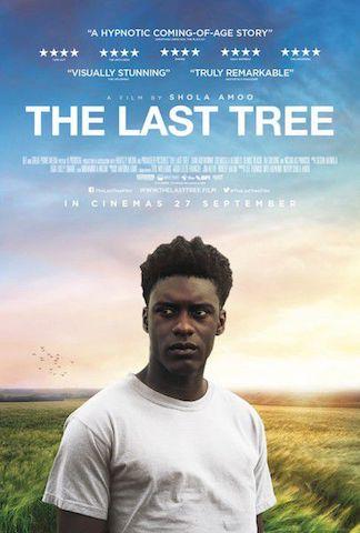 Critique The last tree : une quête d’identité vivifiante
