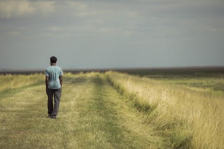 Critique The last tree : une quête d’identité vivifiante