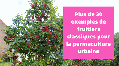 Plus de 30 exemples de fruitiers classiques pour un jardin urbain en permaculture (vidéo)
