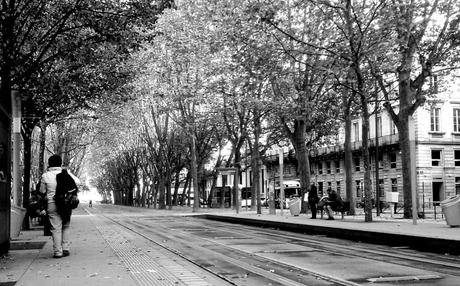 LES BOIS DE BORDEAUX LES BOIS DE BORDEAUX