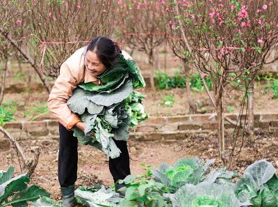 La Chine est-elle en pleine crise alimentaire ?