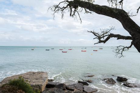 Noirmoutier : découvrir l’île en 2 jours