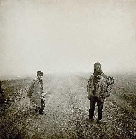 Splendide pampa chinoise