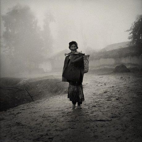 Splendide pampa chinoise