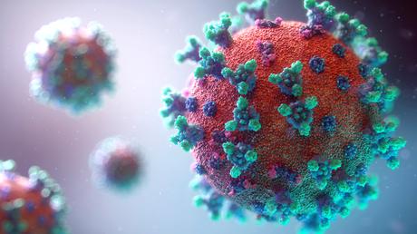 Le virus utilise certains miARNs pour inhiber sa croissance dans les premiers stades de l'infection et retarder un peu la réponse immunitaire active de l’hôte (Visuel AdobeStock_330293007)