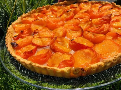 Confiture d’abricot et tarte aux abricots, pâte sablée Confiture d’abricot et tarte aux abricots, pâte sablée
