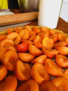 Confiture d’abricot et tarte aux abricots, pâte sablée Confiture d’abricot et tarte aux abricots, pâte sablée