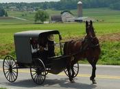 Amish