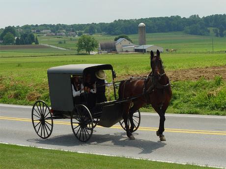 Amish ou pas Amish ?