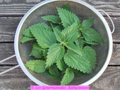 Tarte fine (sarrasin-pois chiches) aux orties et aux pommes de terre (Vegan)