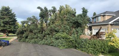 Pourquoi n’enterre-t-on pas nos lignes électriques ?