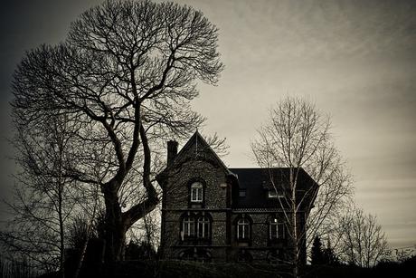 Legendion, tome 3 : Les Larmes de Sitaël de Remi Bomont