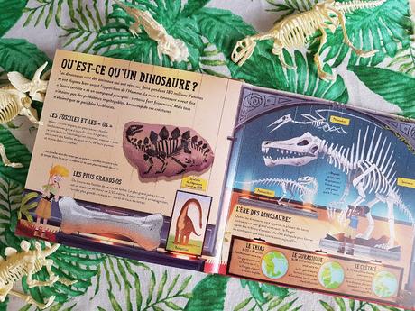 Le Musée des dinosaures en pop-up - Editions Tourbillon ♥ ♥ ♥