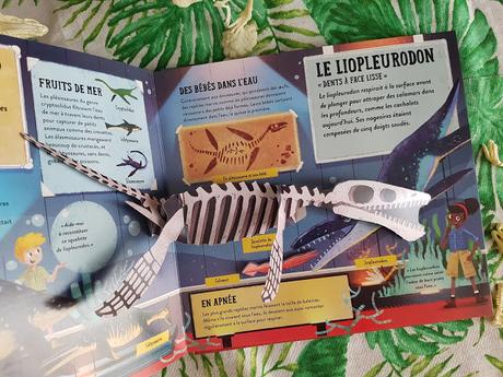 Le Musée des dinosaures en pop-up - Editions Tourbillon ♥ ♥ ♥
